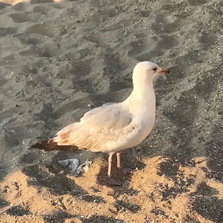 Le Beau Coin De Panne Exterior foto